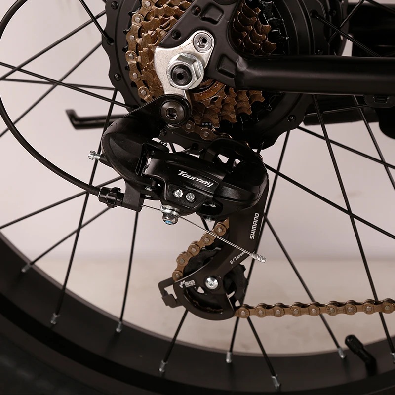 48v Full Suspension Electric Bicycle Fat Tire Ebike Hydraulic Oil Disk Brakes 7 Speed E Bike