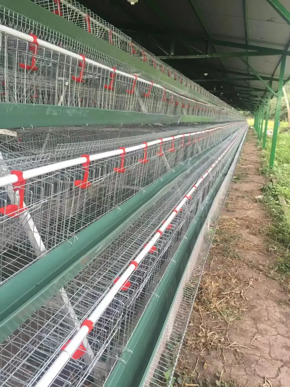 3 Tiers And 4 Tiers Chicken Egg Layer Battery Cage For Tanzania Poultry ...