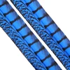 lady amherst-royal blue