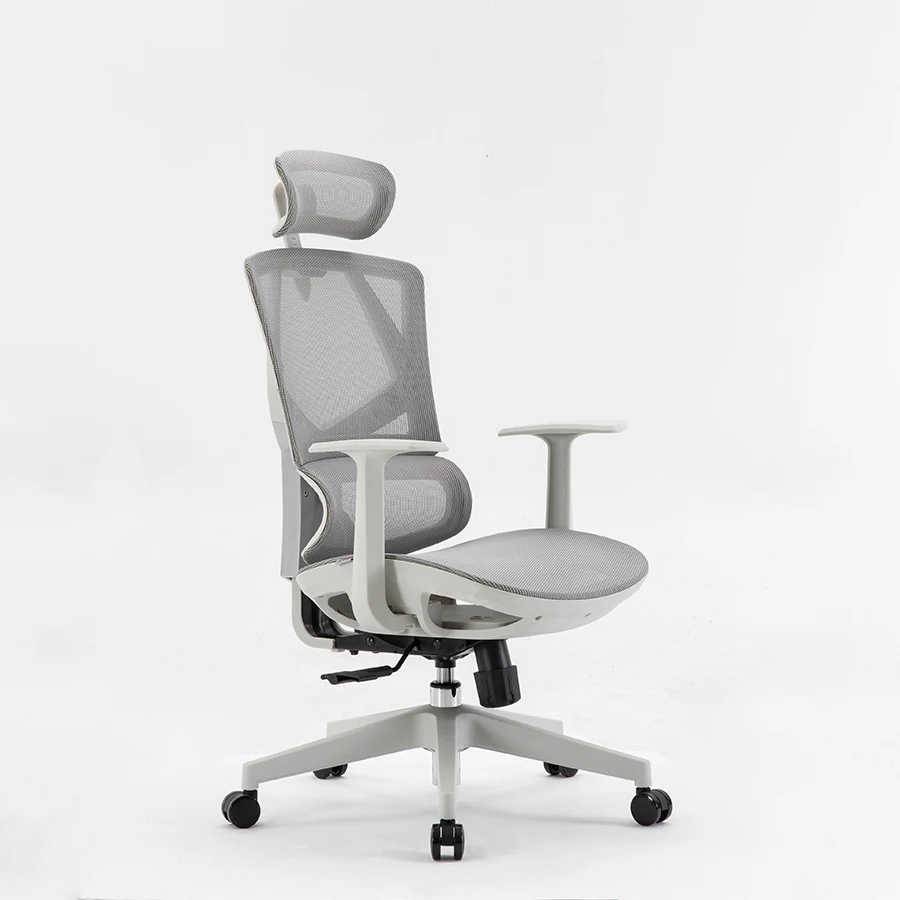 Sihoo M90C Ergonomic Office Chair with Adjustable Lumbar Support Grey