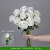 Rosa velluto/bianco