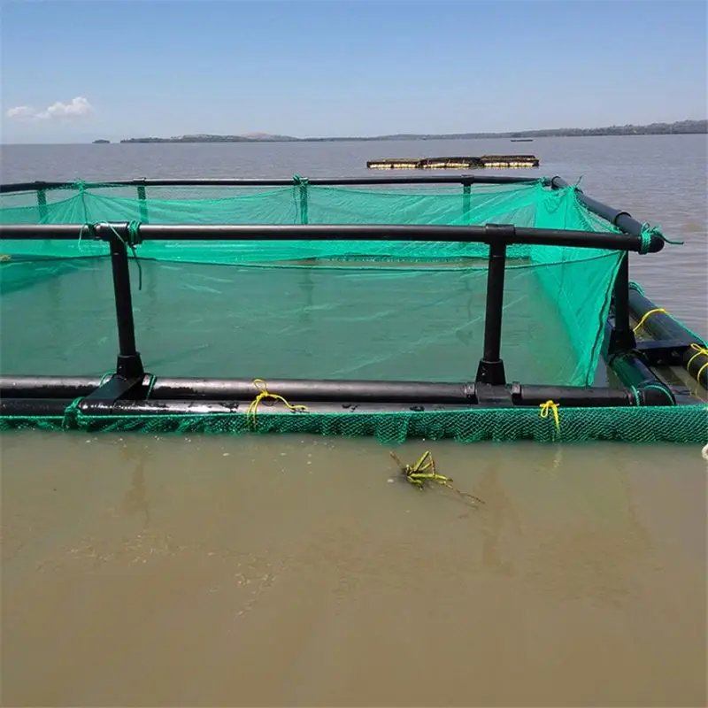HDPE Pipe Floating Diameter 20m PE Net 6m Fish Farming Aquaculture Cage -  China Fishing Cage, Tilapia Cage
