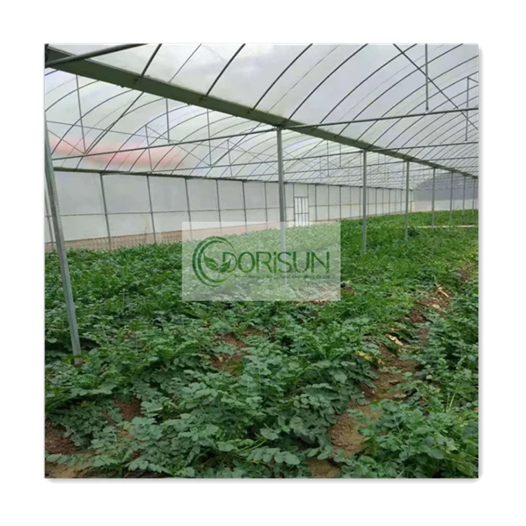 Window Sill Fruit Tree Film Machine Vent Windows Picking Cart Inflation Pump Film Welding Flood Trays Greenhouse