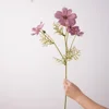 Gris Rose