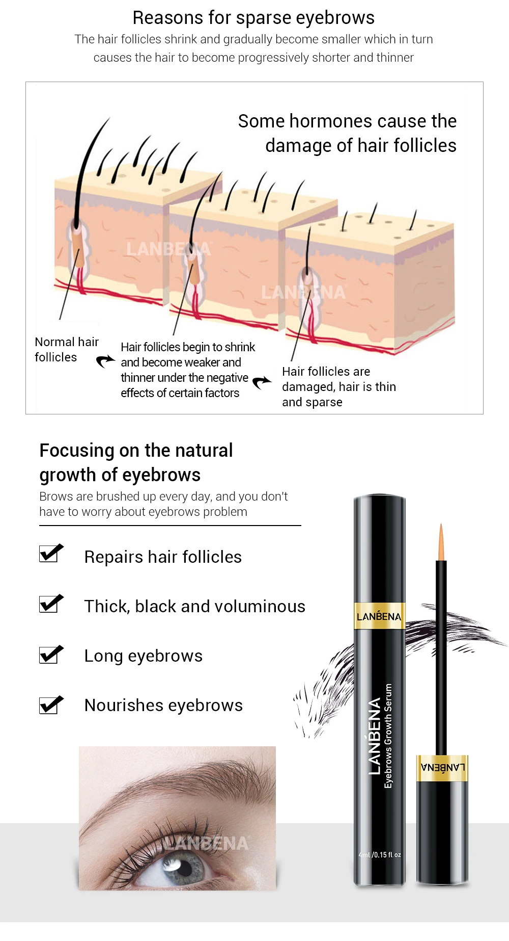 LANBENA natural eyebrow and eyelash growth serum free shipping