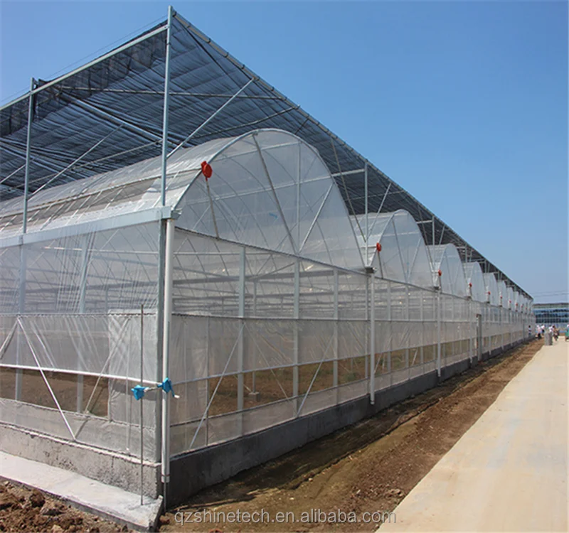 greenhouses with Cooling System
