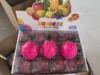 Bloques de construcción de fruta del dragón de 5,8 cm, blandos