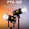 PTK-300