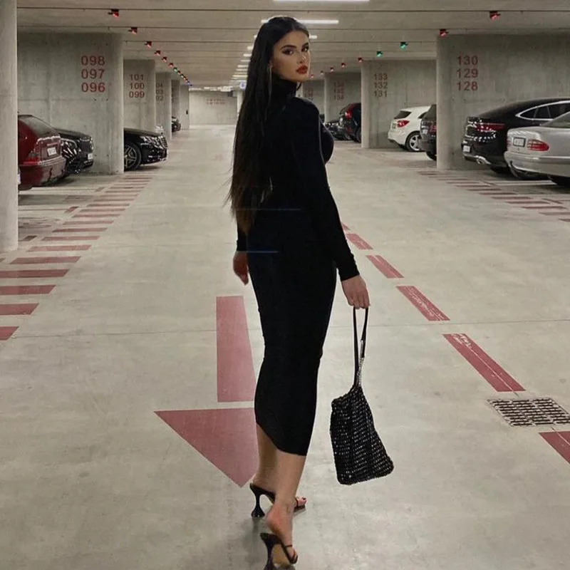 Women's clothing Autumn new fashion solid color slim-fit turtleneck long sleeve elegant dress Wholesale