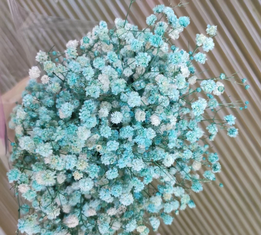 顶级销售保存婴儿呼吸婚礼装饰真实触摸满天星鲜花花束diy材料 Buy 婴儿呼吸满天星 真正的触摸婴儿呼吸 满天星product On Alibaba Com