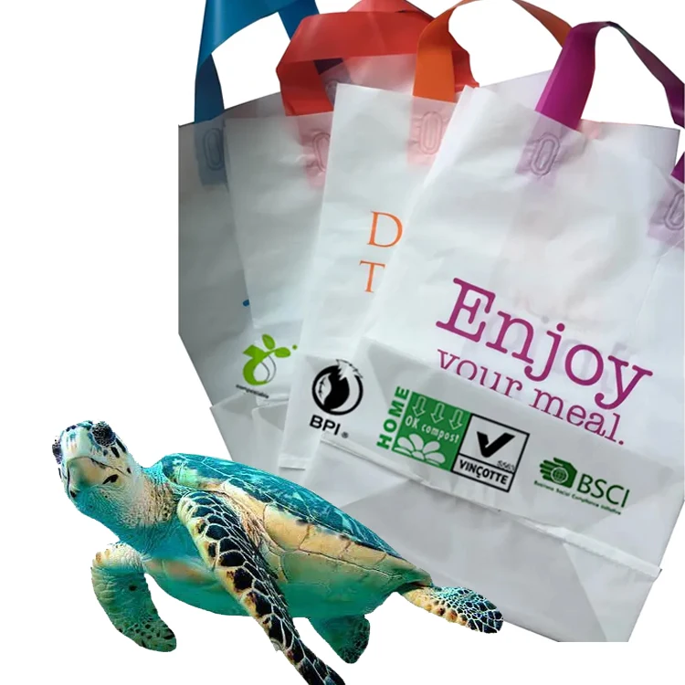 Poly Bags Bolsa De Polietileno Biodegradable Bolsas De Plástico