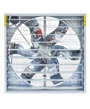 Model 800mm Diameter Ventilation Fan Wall Mounted Negative Pressure Exhaust Fan For Animal Husbandry Farms