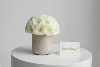 Rotondo 24Rose Gialle