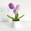 tulipano viola
