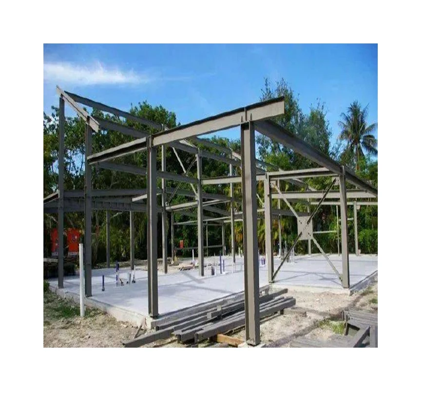 Prefabricated Ready Made Steel Structure Industry Prefab Steel Structure Building Prefab Homes