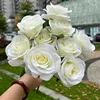 9 amante della testa may-white