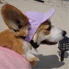 Púrpura