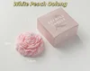 Oolong Pêche Rose/Blanc