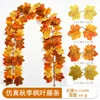 Maple vine - F (1.75 meters) 32 heads