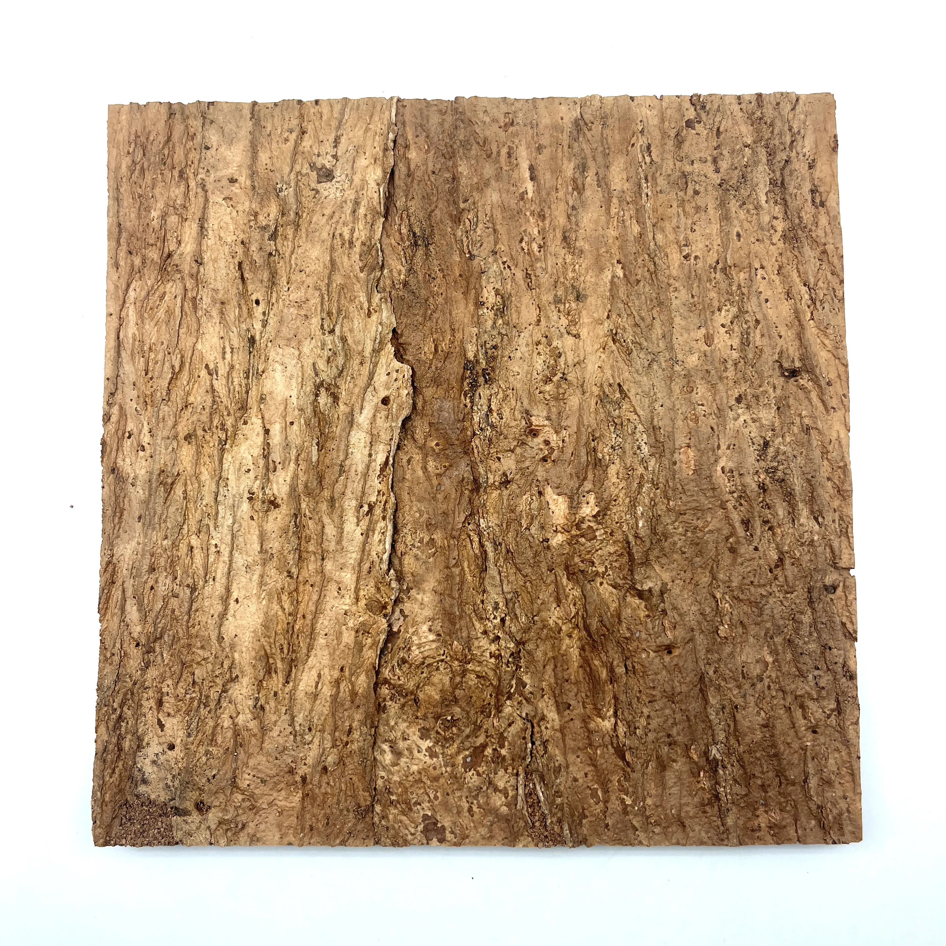 Leecork 300x300x20mm Terrarium Background Cork Tile Background Custom ...