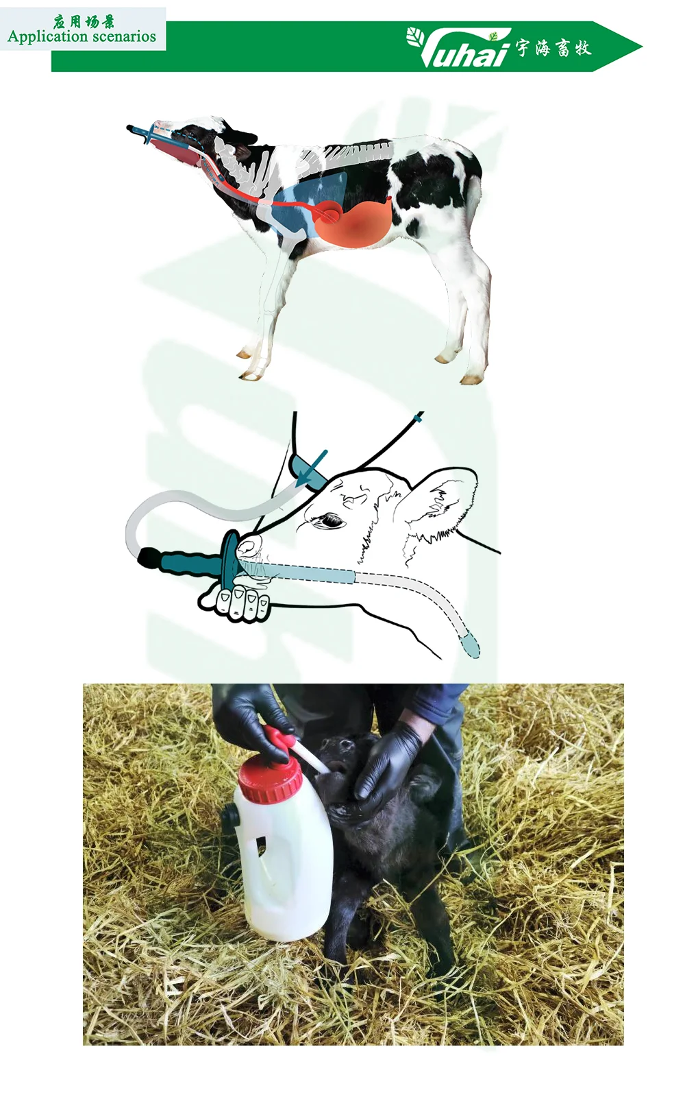 Livestock 4L Farm Equipment Sheep/Cow Feeder Animal Feeding Bottle details