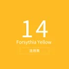 -#14_Forsythia Yellow