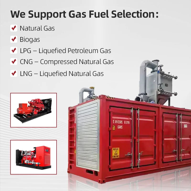 Quality Methane Purification Plant 80Kw Easy Operation Membrane Separation Biogas Generator Set
