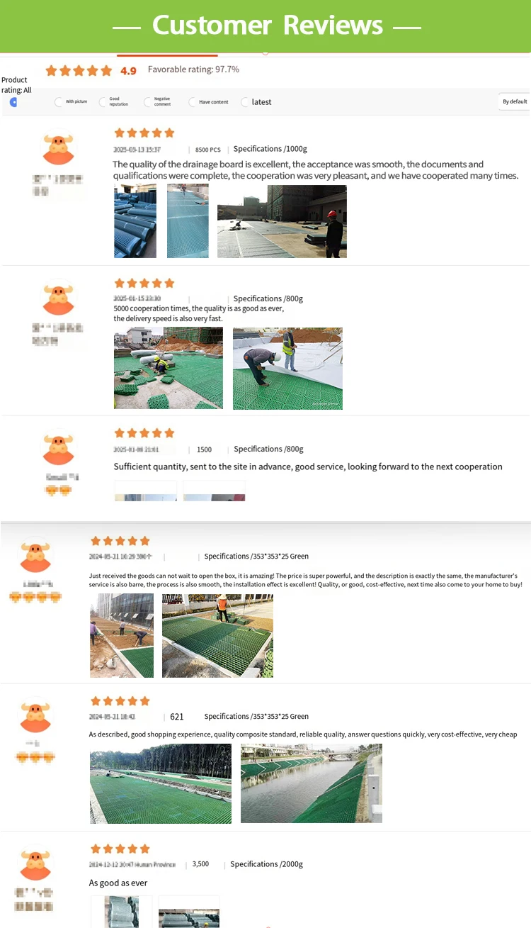 Custom HDPE Honeycomb Driveway Grids Fire Exit Greening Grass Planting ...