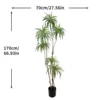XY2502-589 170CM