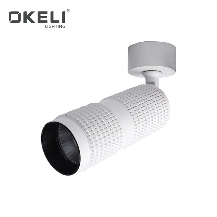 OKELI High quality CE ROHS 10W 15W cob led spot modern design LED spot light