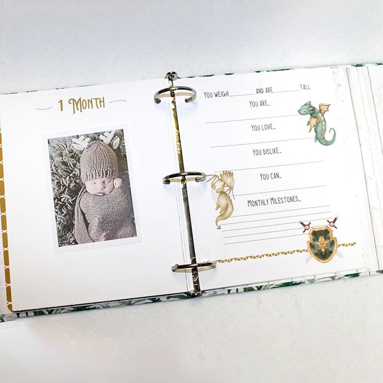 Custom Design Baby Memory Book Dragon Baby Book Cute Dragons Baby Milestone Book