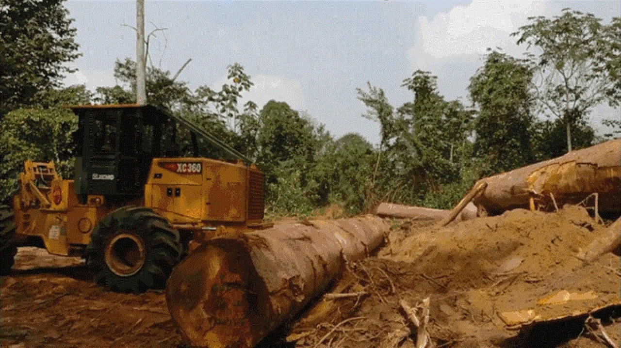 Skidder Forestry Tractor Logging Machine Tractor Timber Tractor Forest Skidder Forestry Winch Forest Winch Timber Log Winch