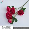 5 cabezas Lulia JYG Rose rojo