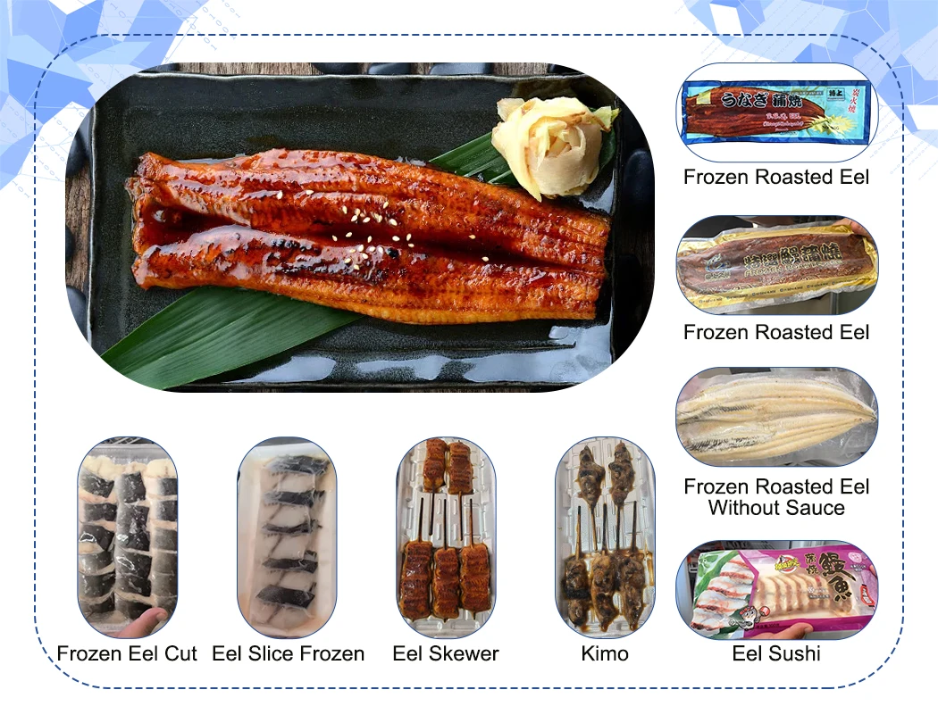 Japanese Style Frozen Roasted Eel/eel Skewer/eel Cut For Sushi