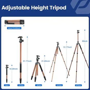 Fotopro DSLR Camera With Ball Head and Quick Release Plate Detachable Monopod Aluminum Tripod product image