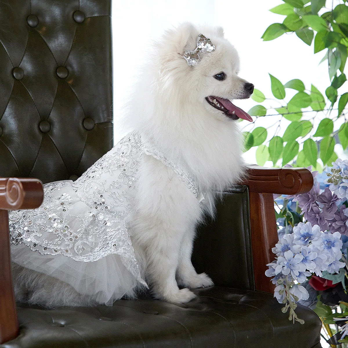 Dog Girl Clothes Lace Pet Dress for Weddings Pet Costume Jacket