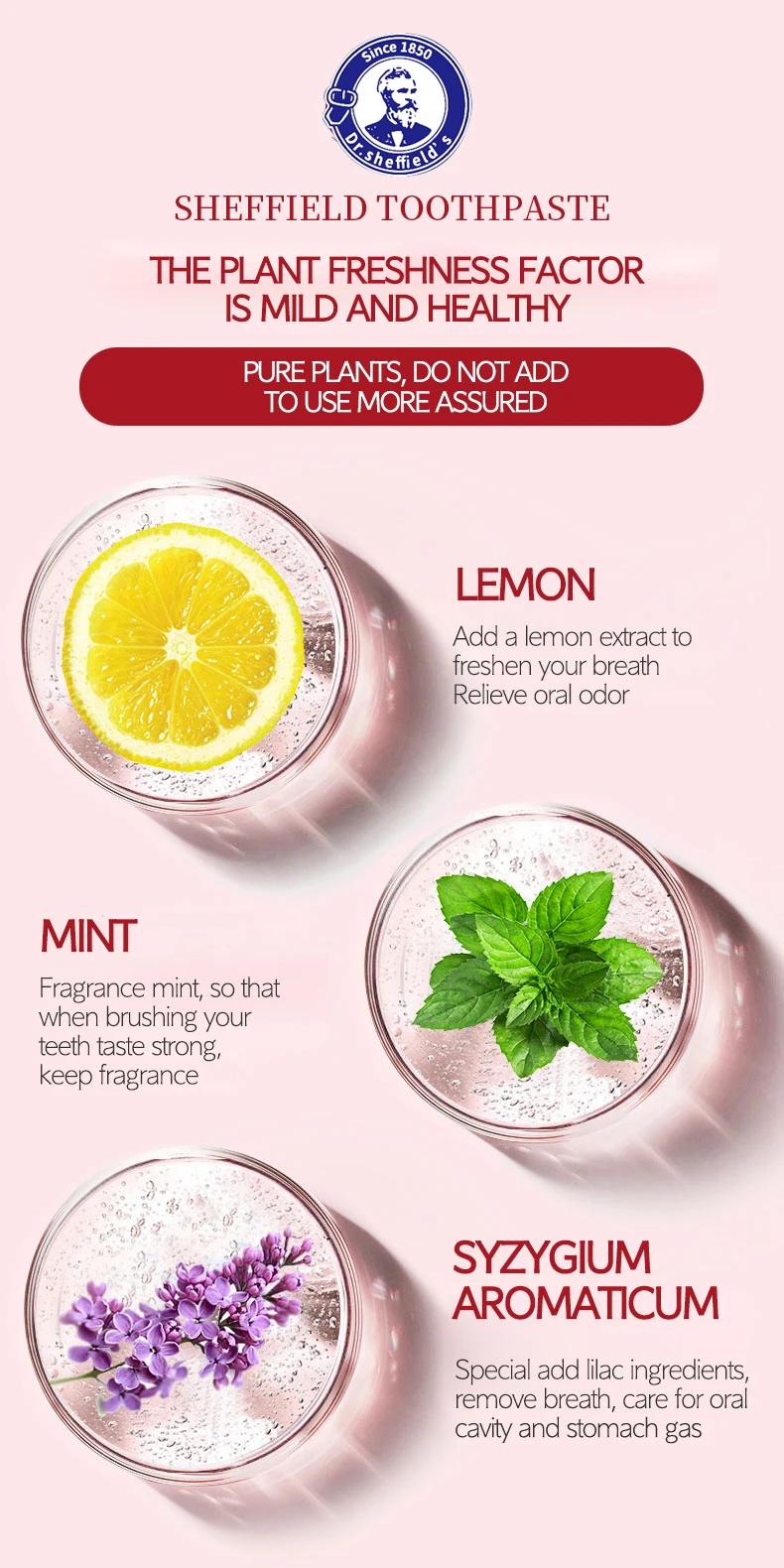 Oem Wholesales Toothpaste Plant Odor Removal Whitening Lemon Mint Pure ...