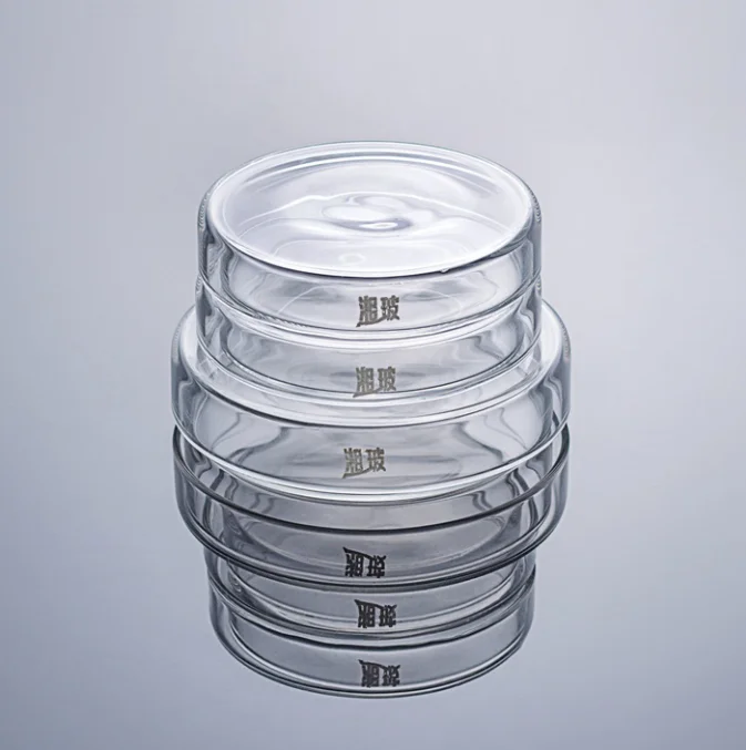 Piastre Di Petri In Plastica Sterili 90mm - Per Colture Batteriche Con Pipetta - Foto 5