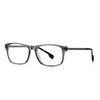 LS204-C02 Transparent Gray