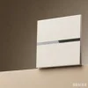 1gang