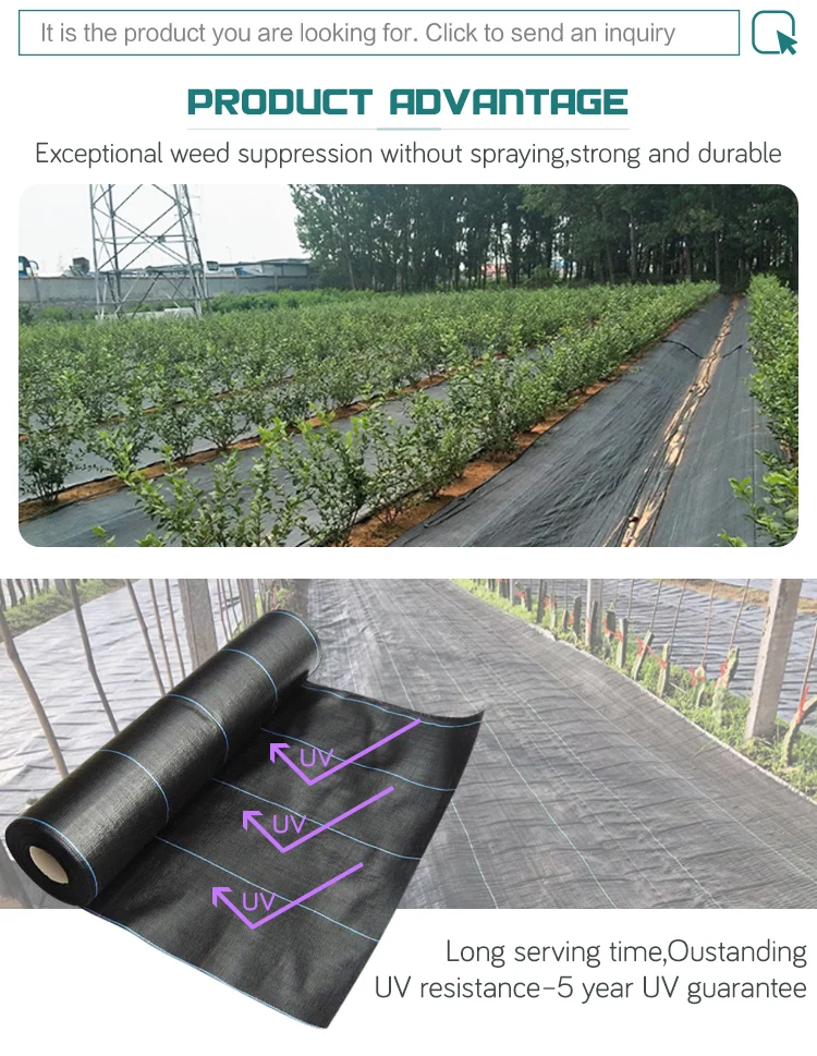 Garden Ground Cover Fabric / Weed Barrier Mat / Plastic Pp Anti Weed Agro Weed Control Buy