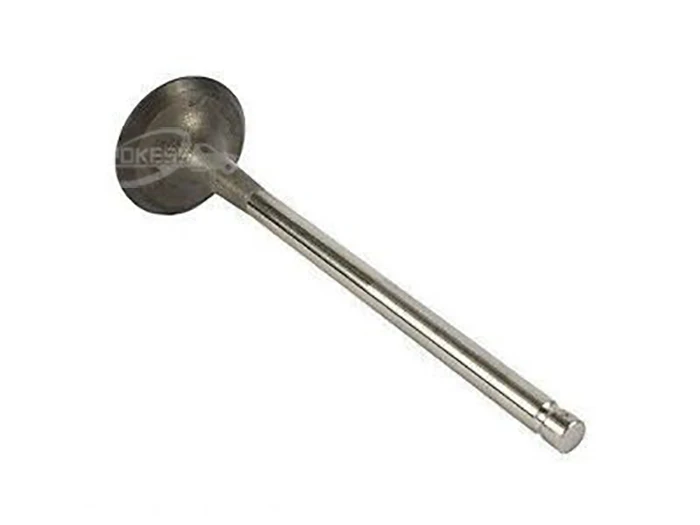 Factory Outlet High Quality Exhaust Valve OEM DJ5E6505AA for ford Mon... — 6