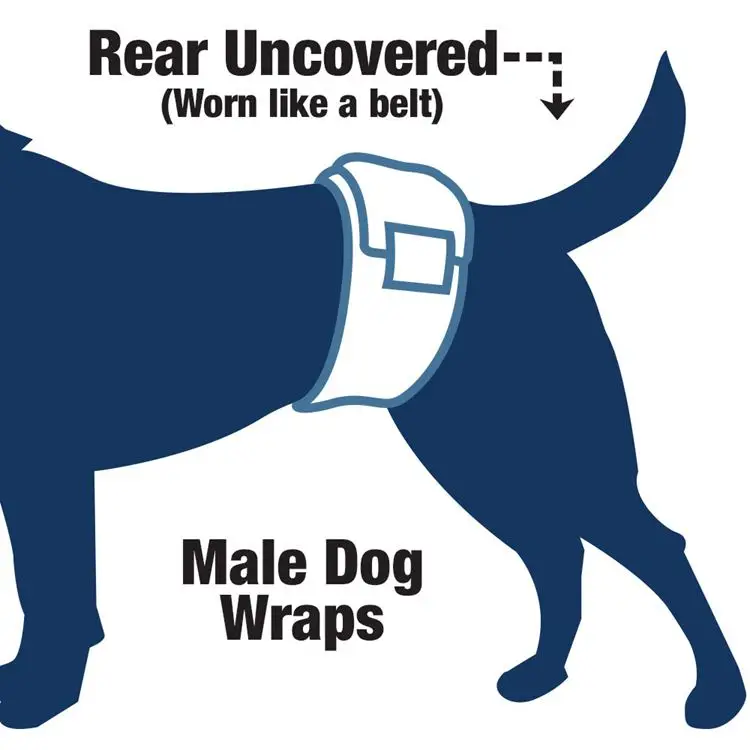 Reusable Absorbent Wrap Diapers for Male Dogs