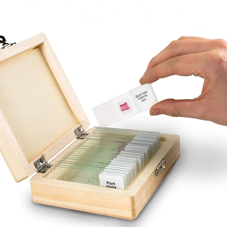 
 Микс 25 шт., набор медицинских стекол для биологического микроскопа на растениях, животных, микробиолога для исследований  