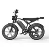 Black fatbike