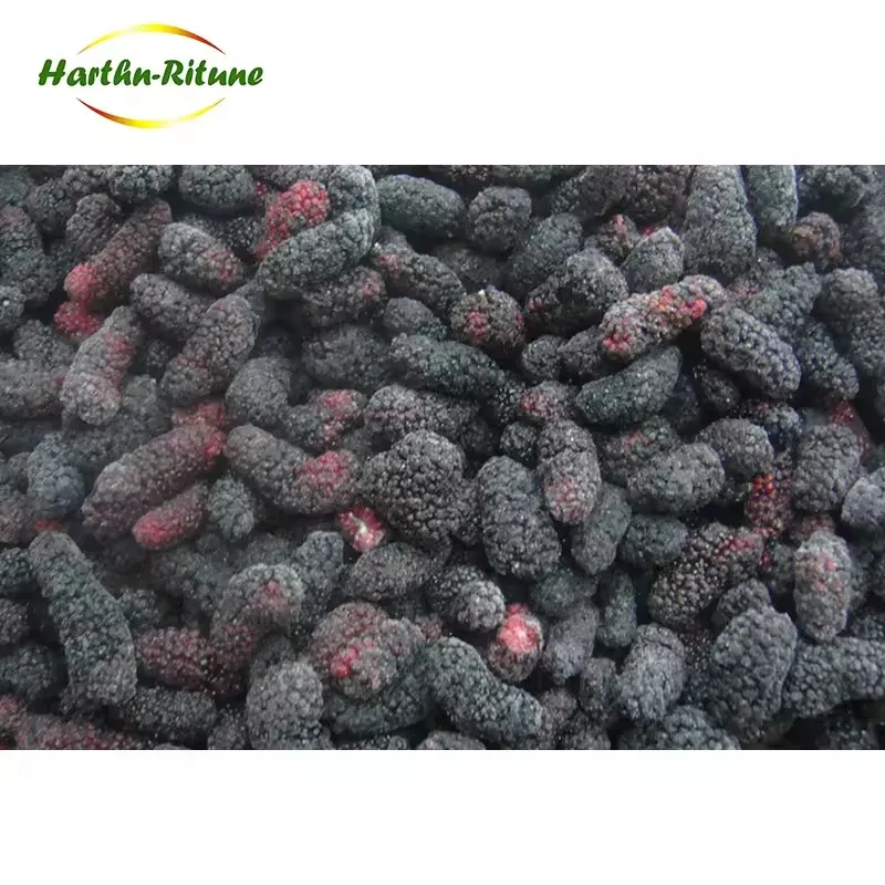 Večje kupovanje zamrznjenega sadja mulberi nova žetev zamrznjenega sadja več 10 KG IQF mulberi