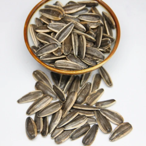 优质新鲜葵花籽 Buy 葵花籽巧克力 葵花籽油挤出机 向日葵种子种植product On Alibaba Com