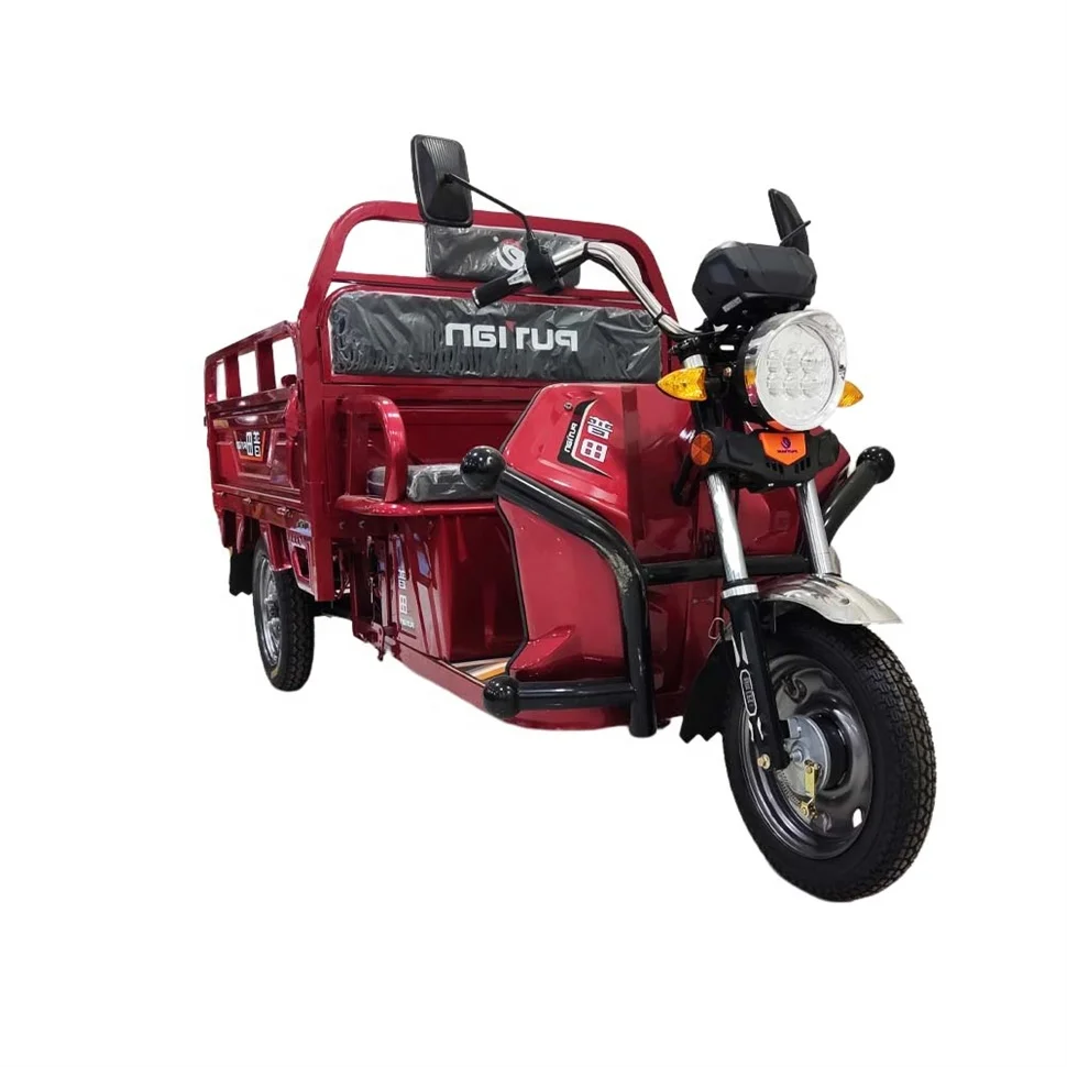 Best Selling Motorcycle Three Wheel Sidecar E Bike Electric Bicycle 3 Adult Trike Motocross Waste Container Motorized Tricycle