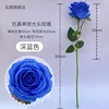 Dark blue single large-headed rose