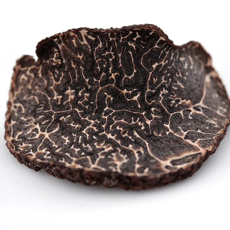 Hei Song Lu Top Grade Wild Fresh Dried Whole Black Truffle Mushroom Price